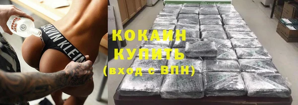 гидра Богданович