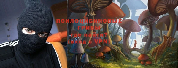 дурь Бронницы