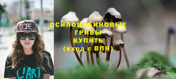 дурь Бронницы