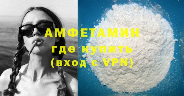 гидра Богданович